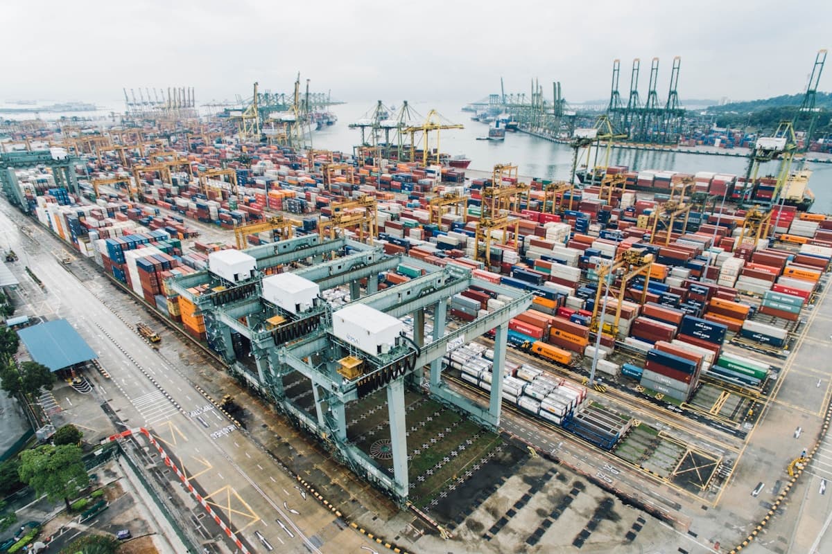 Trade & Export — placeholder